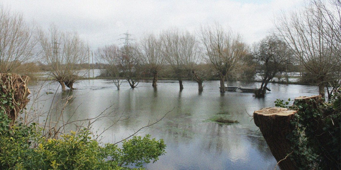 Fisherman's Hut view onto Christchurch river