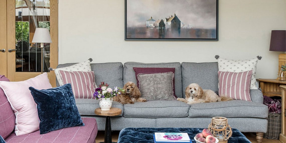 Quay View Interior Design Living room with two dogs on sofa